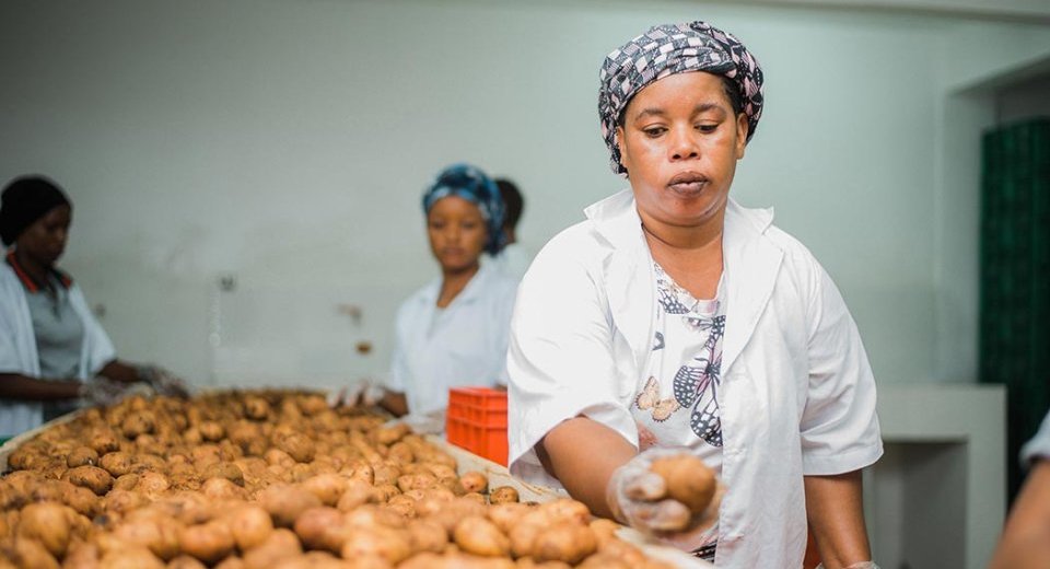 AgriFI ups its investment in Tanzanian business East Africa Foods Ltd with $ 2 million